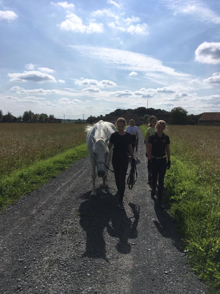 Manage your horse