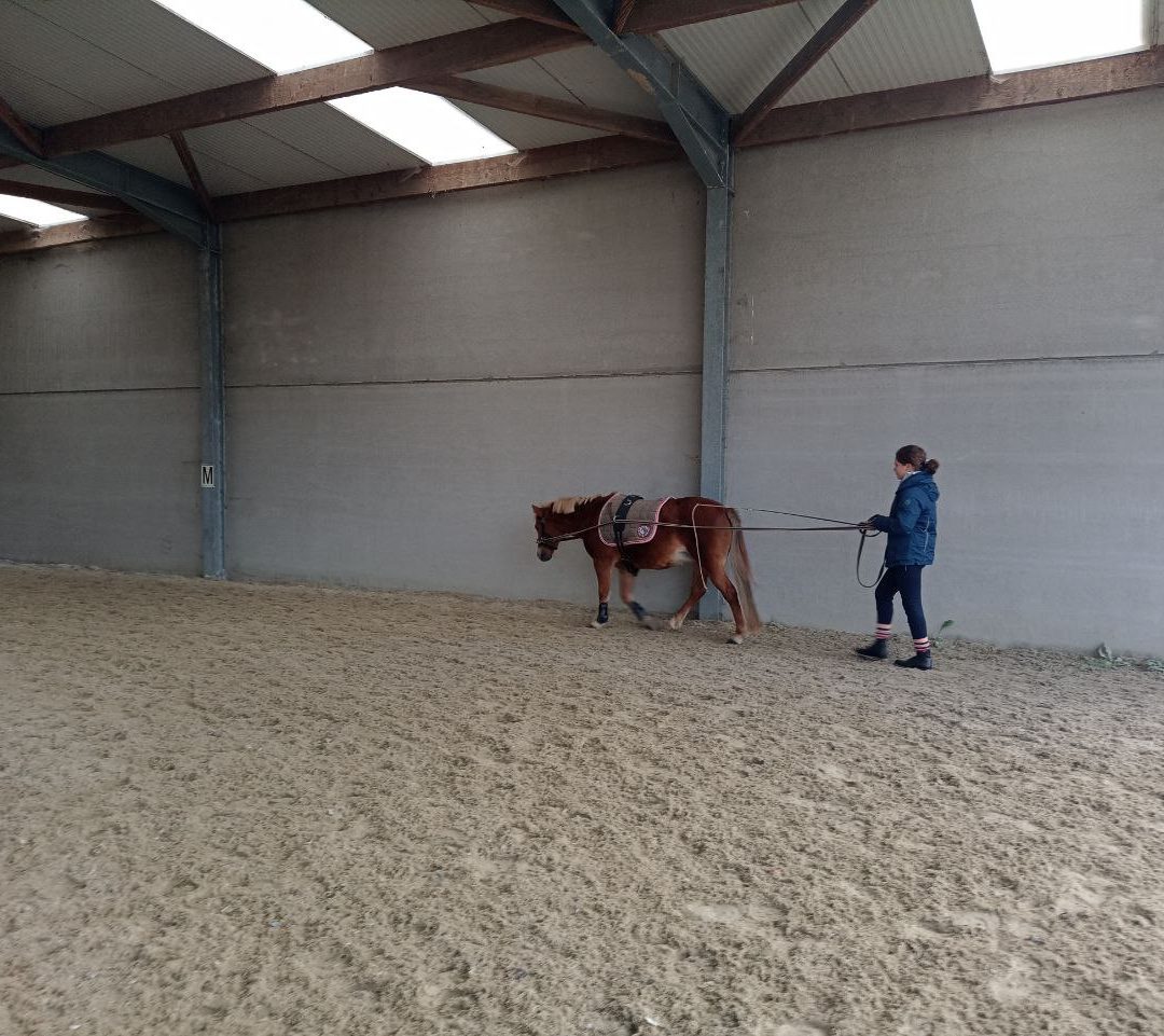 3-daagse Paard-en-kracht